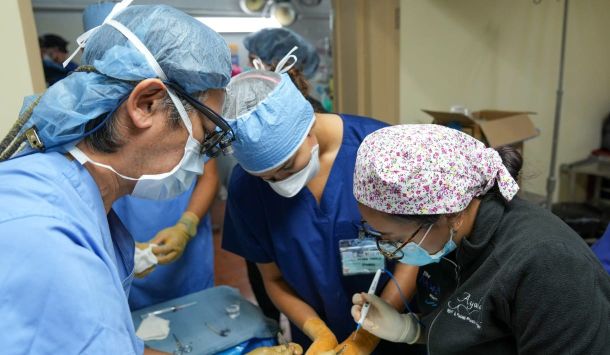 Interface to Offer Free Consultations for People with Cleft Lip